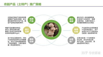 农副产品及土特产电商运营推广想赚钱,请先了解互联网营销方法