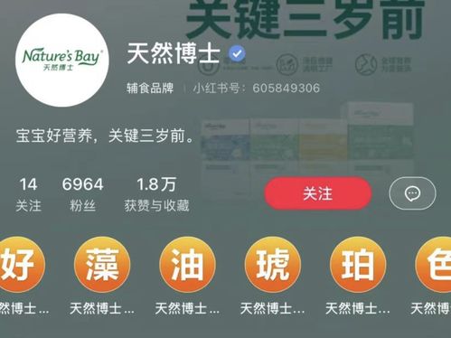 商家运营小红书时,不容忽视这8大基础设置