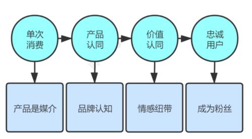 电商运营通过用户成长转化内循环,构建营销生态闭环