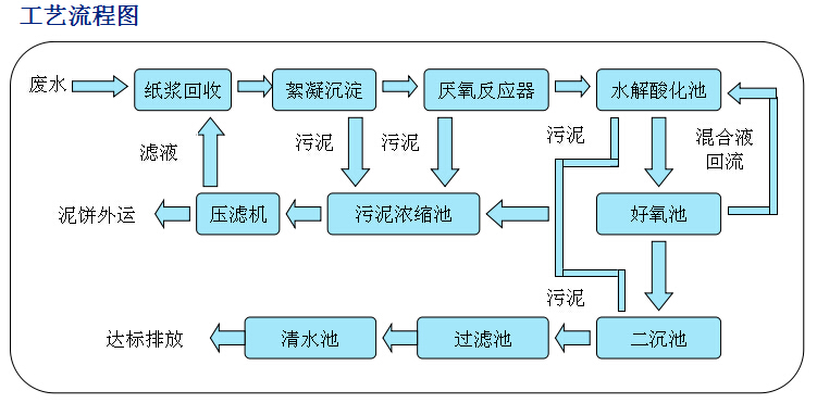 成都华明玻璃纸股份污水运营工程|行业工程案例|湖北盛世环保科技