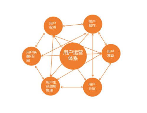 如何建立自己的运营体系 以用户运营为例