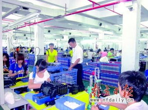 双专 助推粤东玩具等小微企业出口转内销