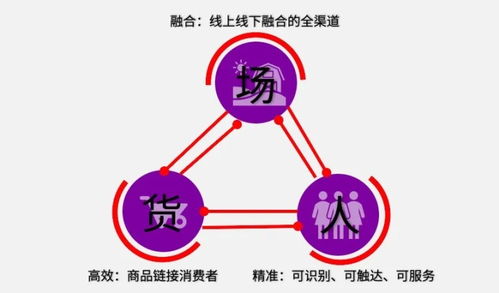 数果案例 助力电商企业快速构建精细化个性推荐系统,打造企业运营增长引擎