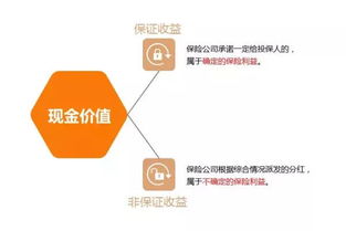 香港保险七大基本要素 你需要知道