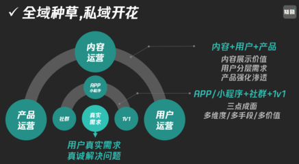 2024流量共生,公域做规模,私域要复利!
