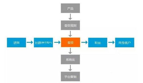 一个月裂变10万粉,这才是裂变式营销 出品