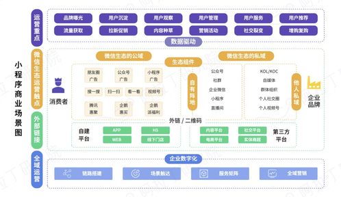 私域升级版 全域运营该如何做