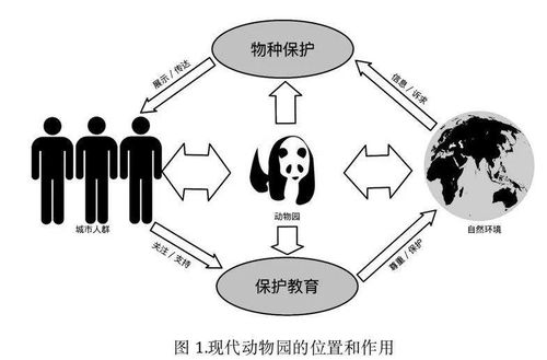 大海才是家