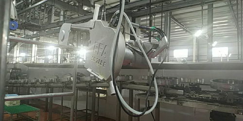 河北霸州大型屠宰厂启用凯斯乐专业设备，现代化生猪屠宰生产线正式投产运营